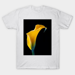 One Beautiful Yellow Calla Lily T-Shirt